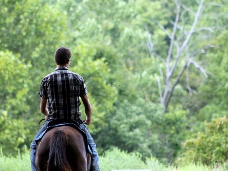 Servicios de Turismo Rural